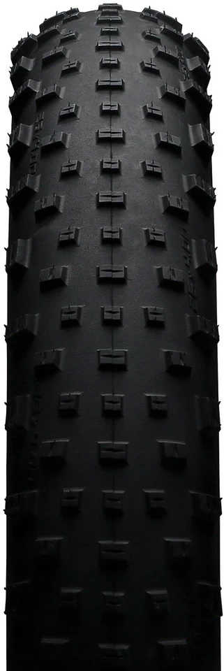 Schwalbe Jumbo Jim Performance ADDIX 26+ Fatbike Reifen – Bild 4