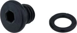 Shimano Entlüftungsschraube Mit Dichtung Für ST-EF505